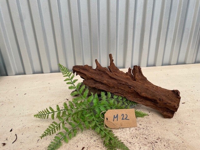 Driftwood size M22
