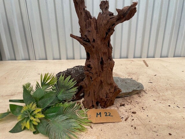 Driftwood size M22