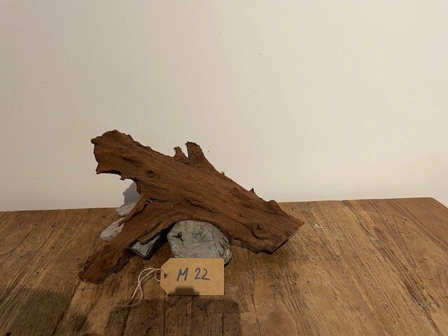 Driftwood size M22