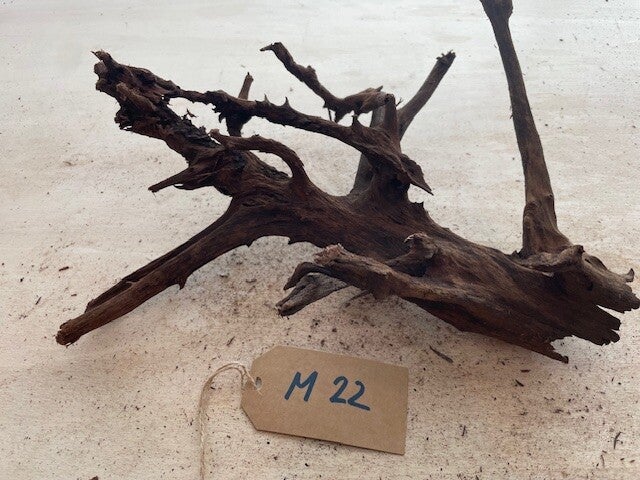 Driftwood size M22