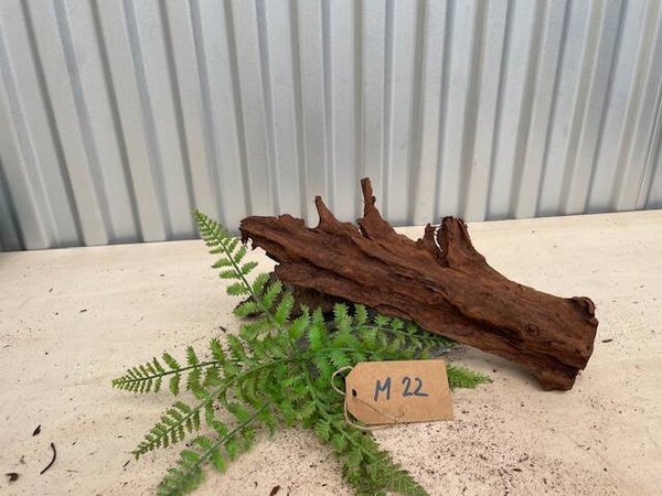 Driftwood size M22