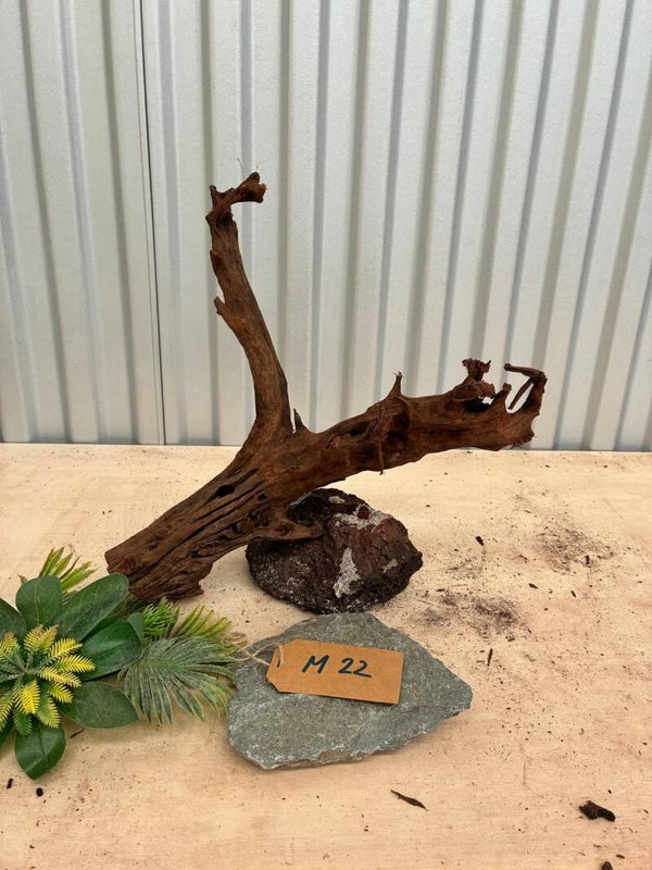 Driftwood size M22