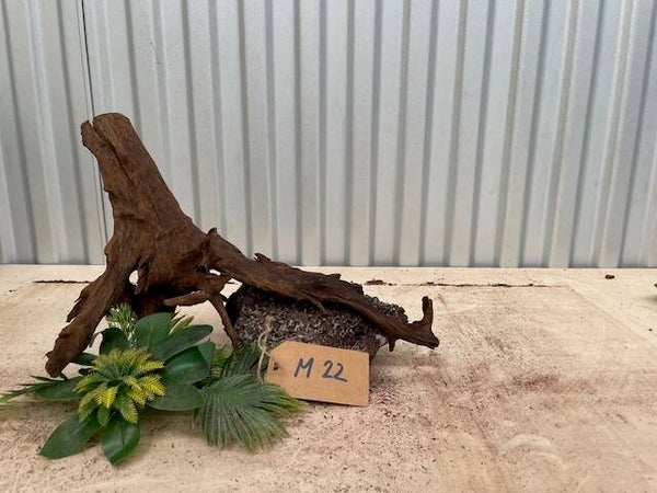 Driftwood size M22