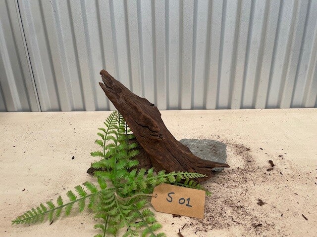 Driftwood size S01