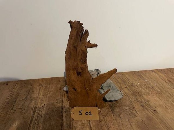 Driftwood size S01