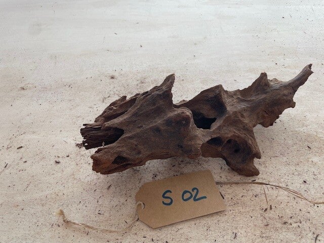 Driftwood size S02