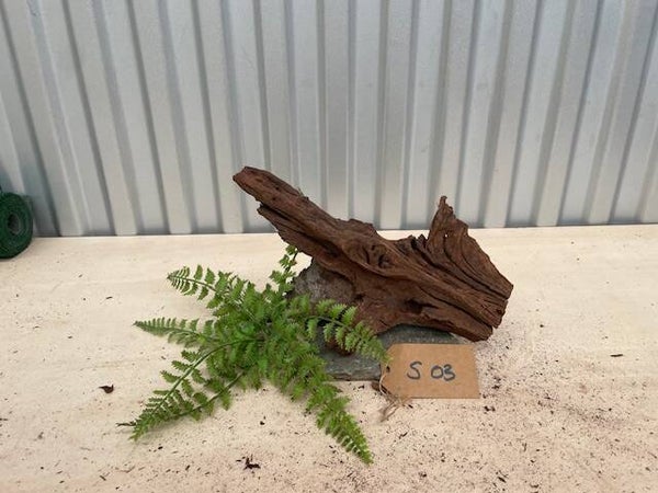 Driftwood size S03