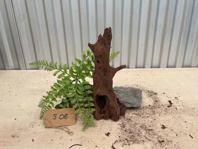 Driftwood size S06