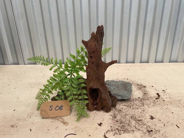 Driftwood size S06