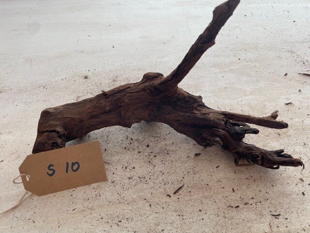 Driftwood size S10