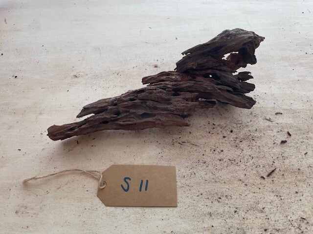 Driftwood size S11