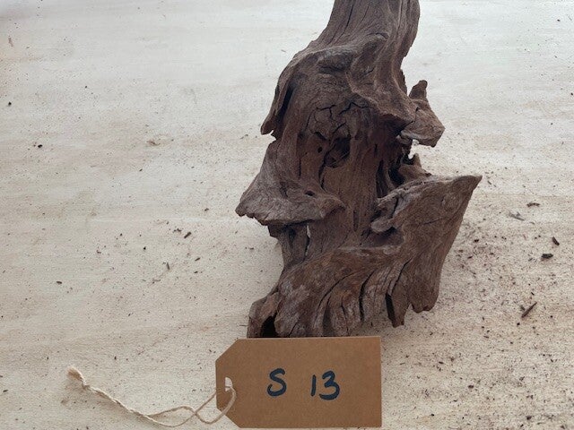 Driftwood size S13