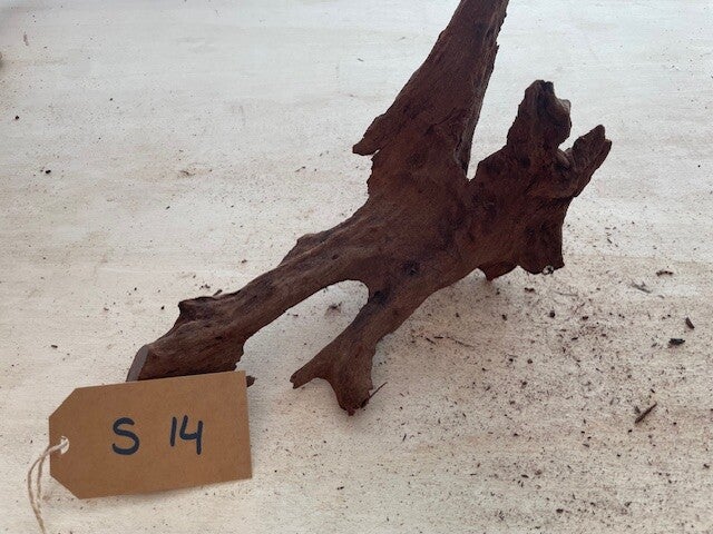 Driftwood size S14