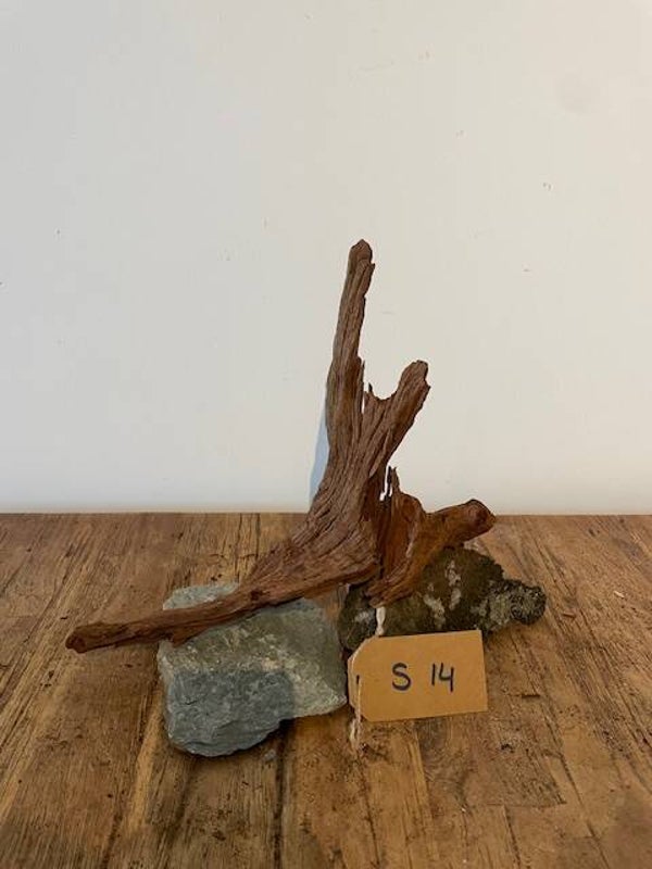 Driftwood size S14