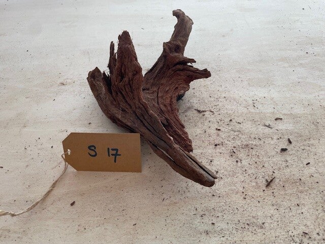 Driftwood size S17