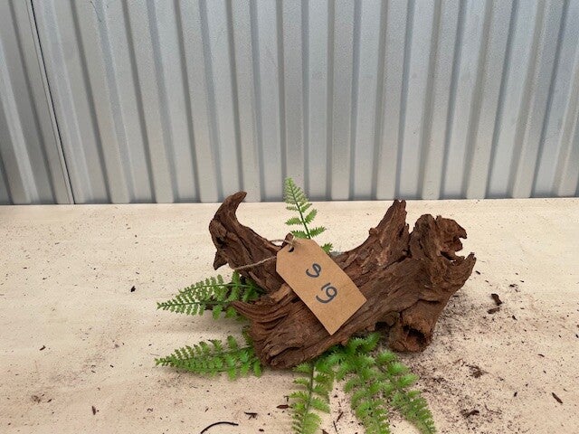 Driftwood size S19