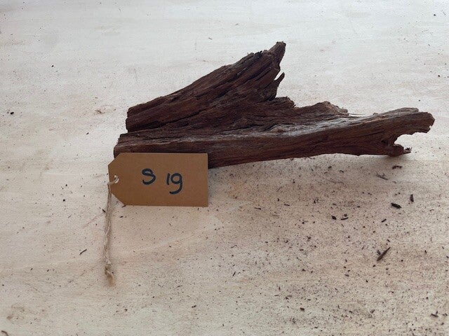 Driftwood size S19