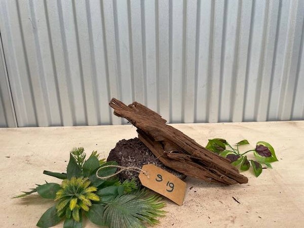 Driftwood size S19