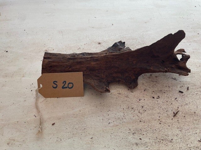 Driftwood size S20