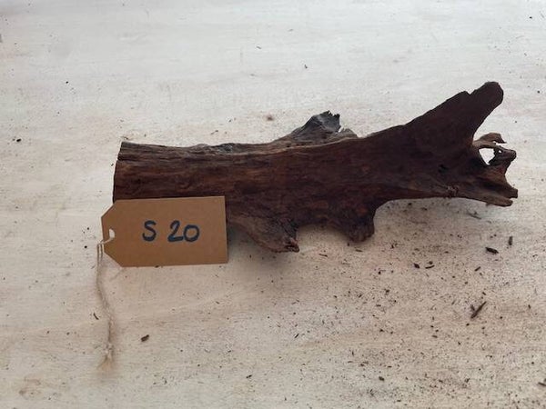 Driftwood size S20