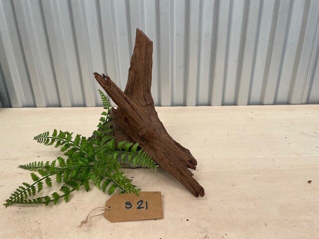 Driftwood size S21