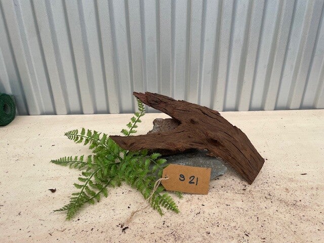 Driftwood size S21