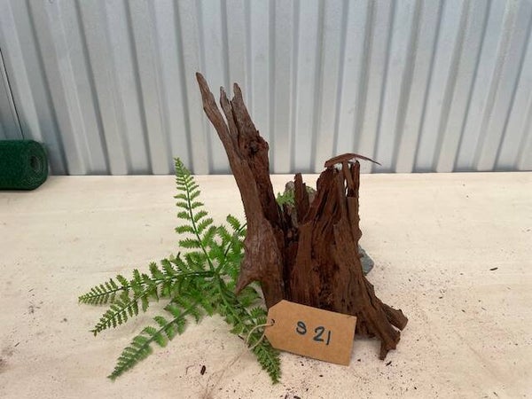 Driftwood size S21