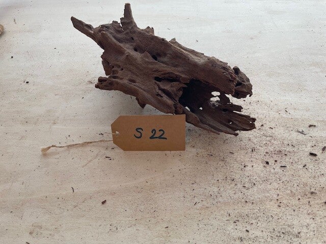 Driftwood size S22