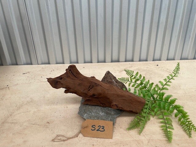 Driftwood size S23