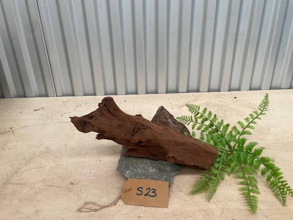 Driftwood size S23