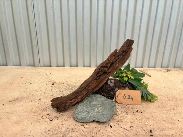 Driftwood size S24