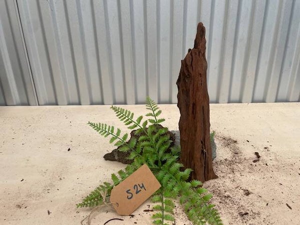 Driftwood size S24