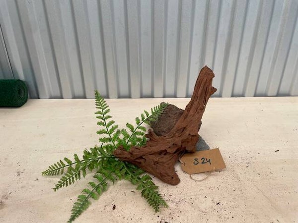 Driftwood size S24