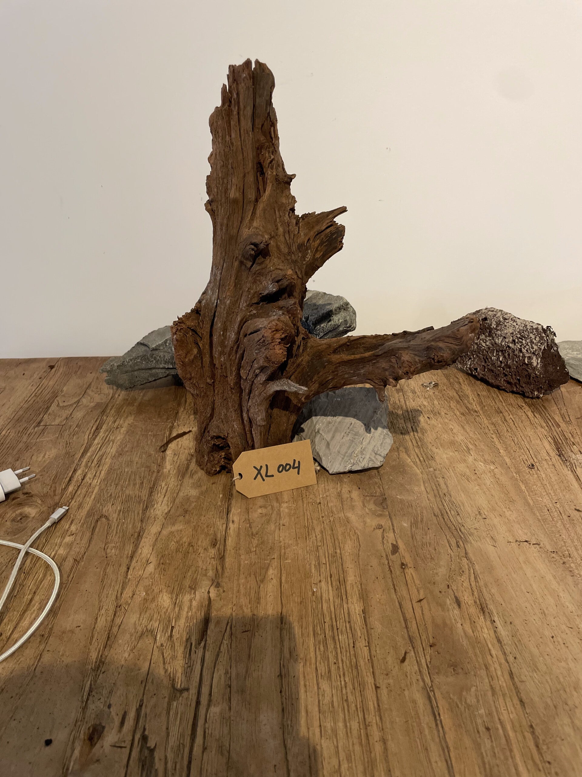 Driftwood size XL004