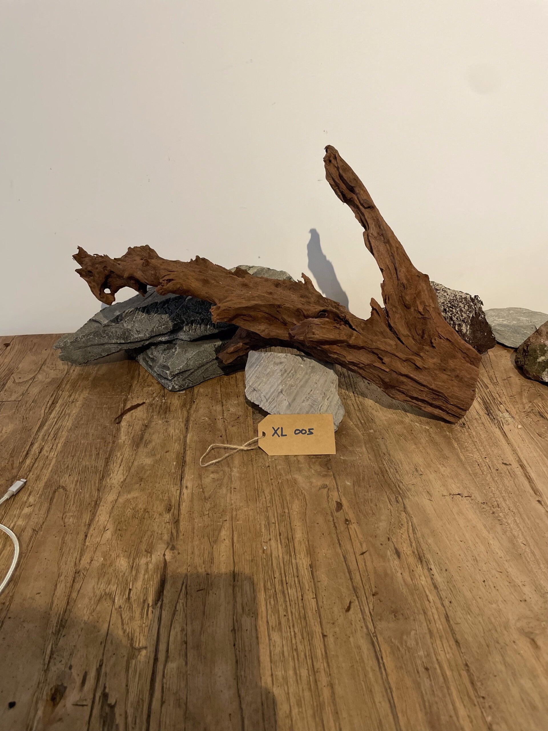 Driftwood size XL005