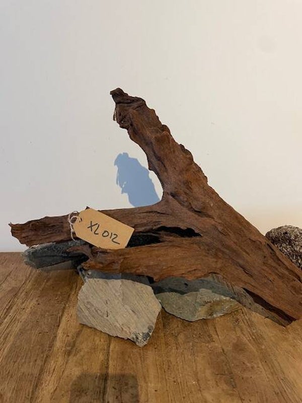 Driftwood size XL012