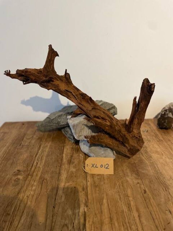 Driftwood size XL012