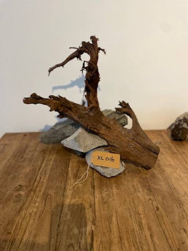 Driftwood size XL016