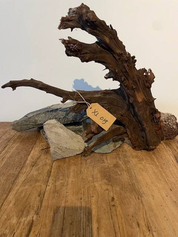 Driftwood size XL019
