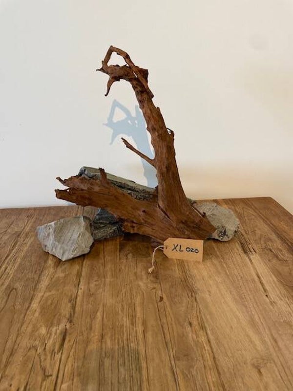 Driftwood size XL020