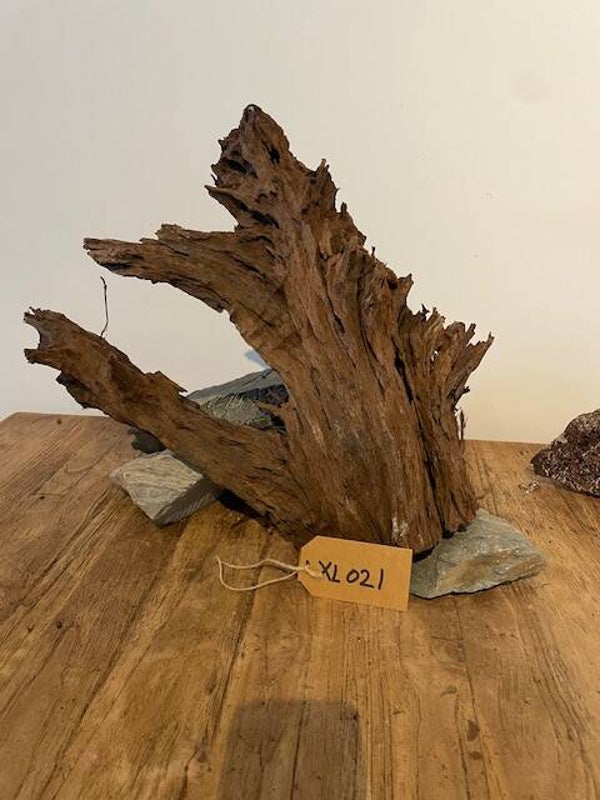 Driftwood size XL021