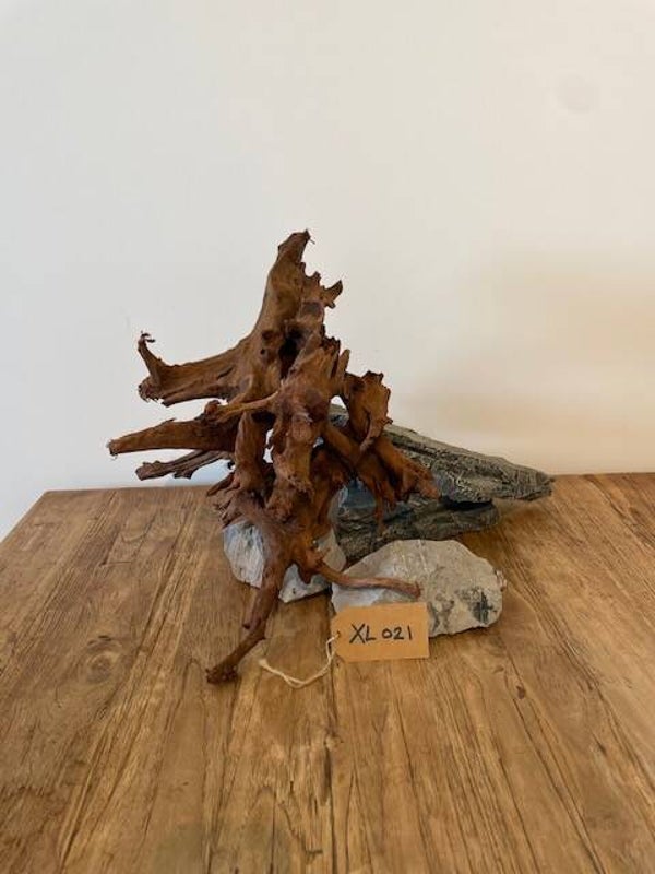 Driftwood size XL021