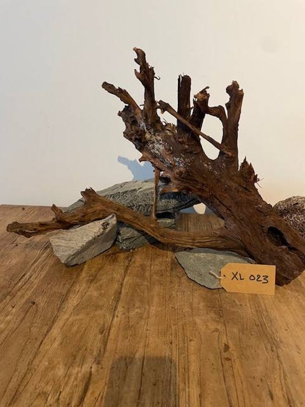 Driftwood size XL023