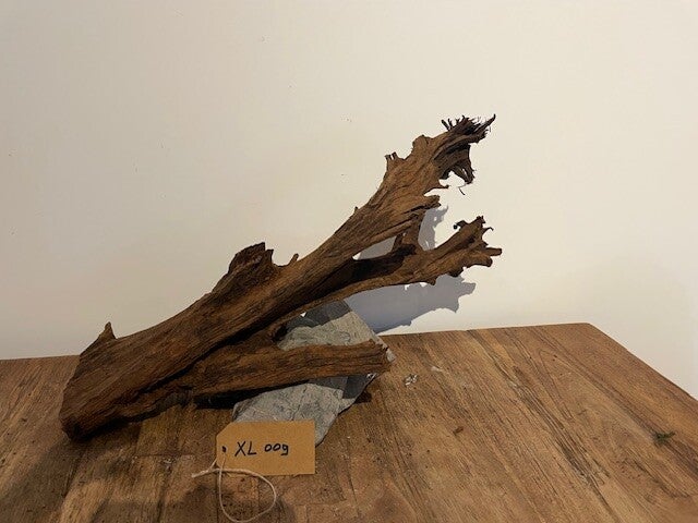 Driftwood size XL009