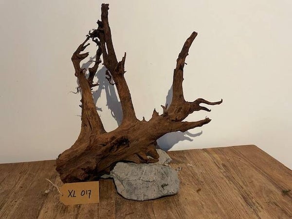 Driftwood size XL017
