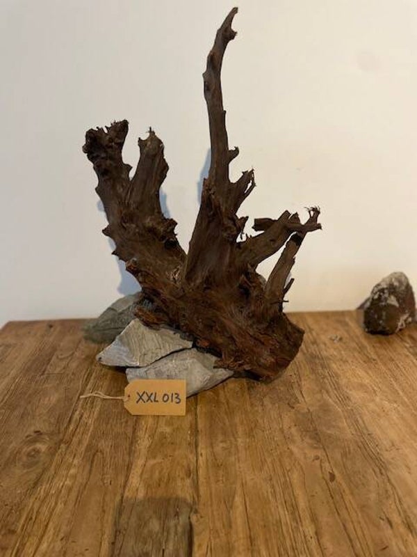 Driftwood size XXL013