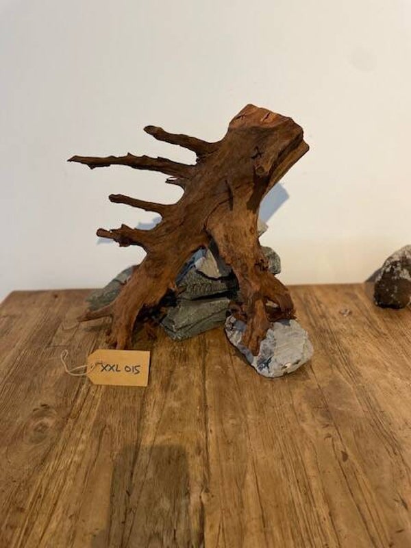 Driftwood size XXL015