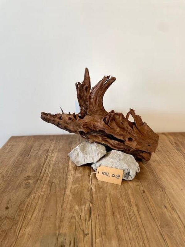 Driftwood size XXL018