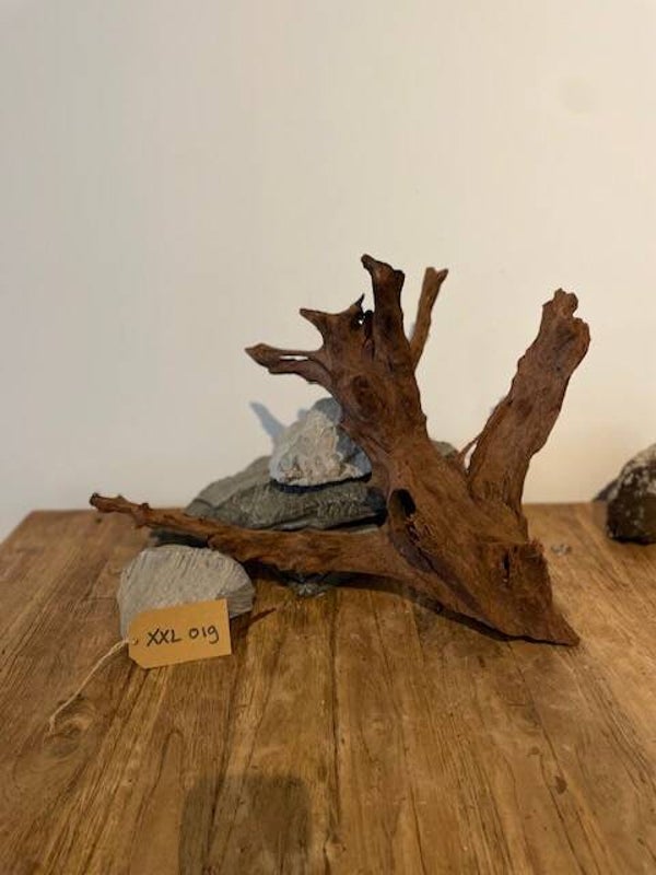 Driftwood size XXL019