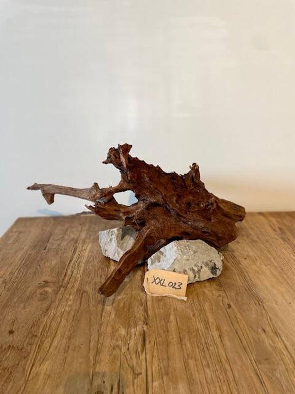 Driftwood size XXL023